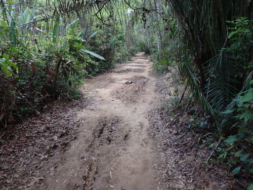 The Trail (well used).